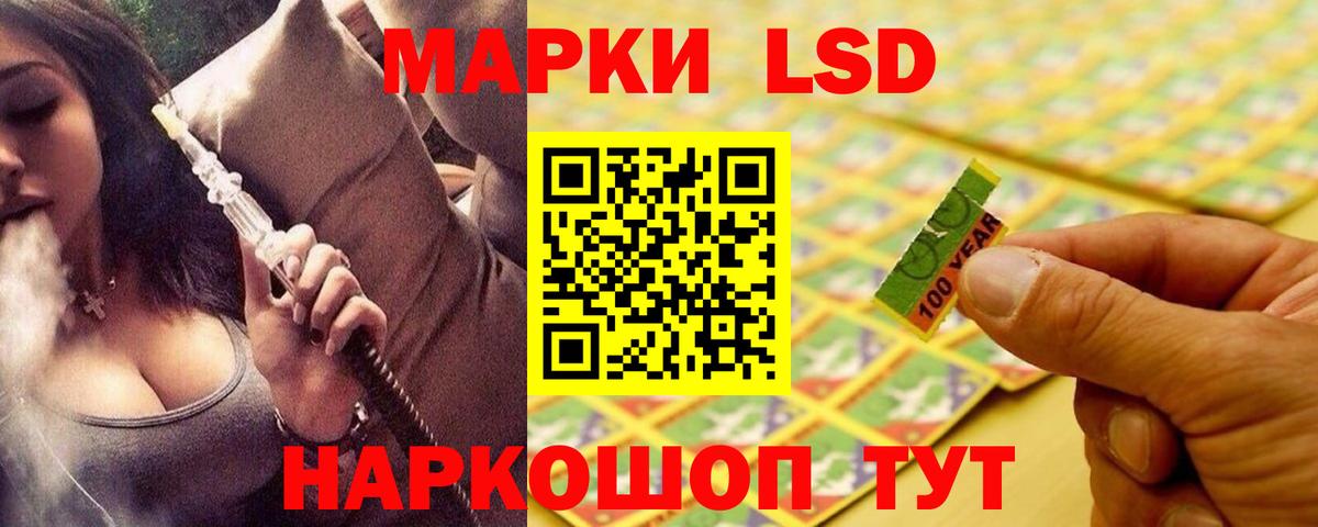 ЛСД экстази  Вход с VPN  Светлоград  mega как войти  Лсд 25 экстази кислота  Лсд 25 экстази ecstasy 