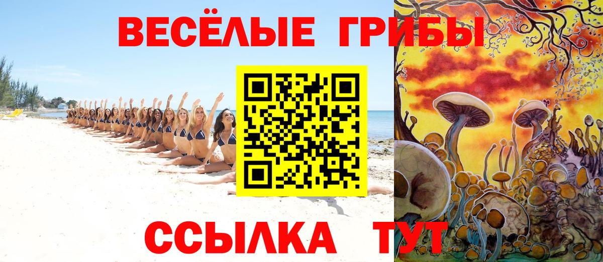 Галлюциногенные грибы MAGIC MUSHROOMS Светлоград