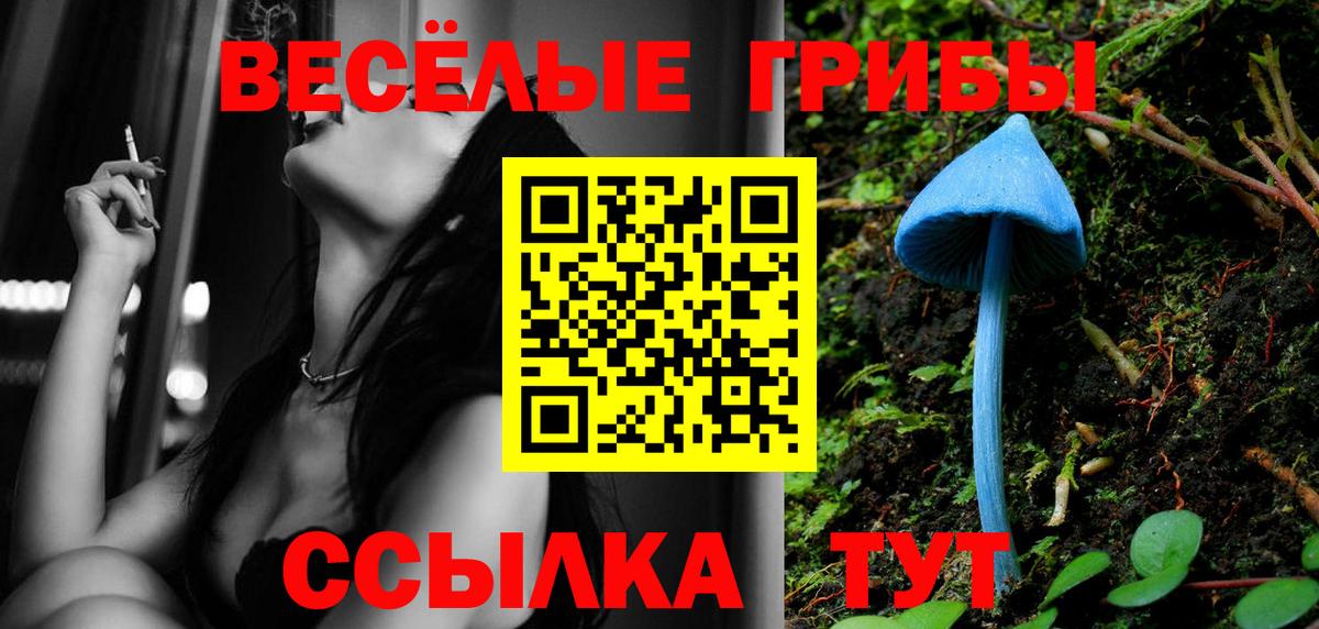 Светлоград  Галлюциногенные грибы Psilocybine cubensis  Псилоцибиновые грибы Magic Shrooms  Вход с VPN 
